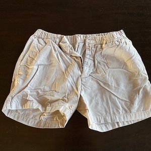 Chubbies Shorts